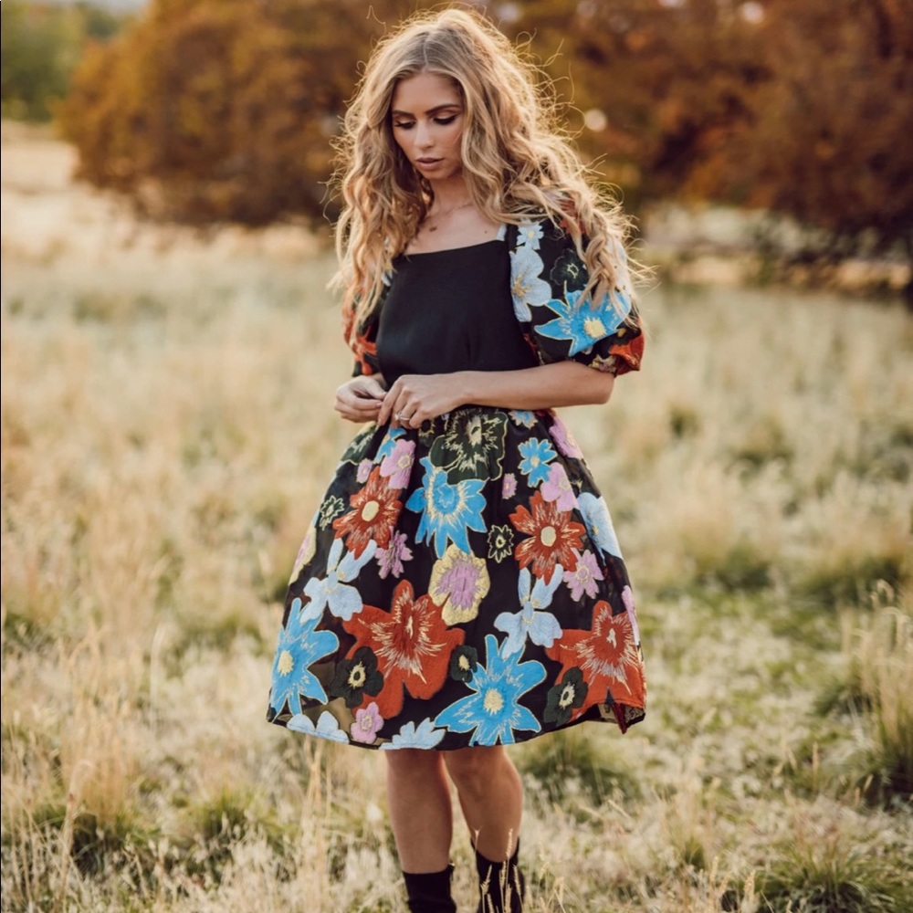 BNWT, Jessakae, Fireside dress, XS